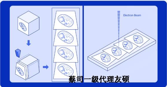 昌都蔡司昌都扫描电镜