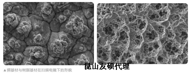 昌都蔡司昌都扫描电镜